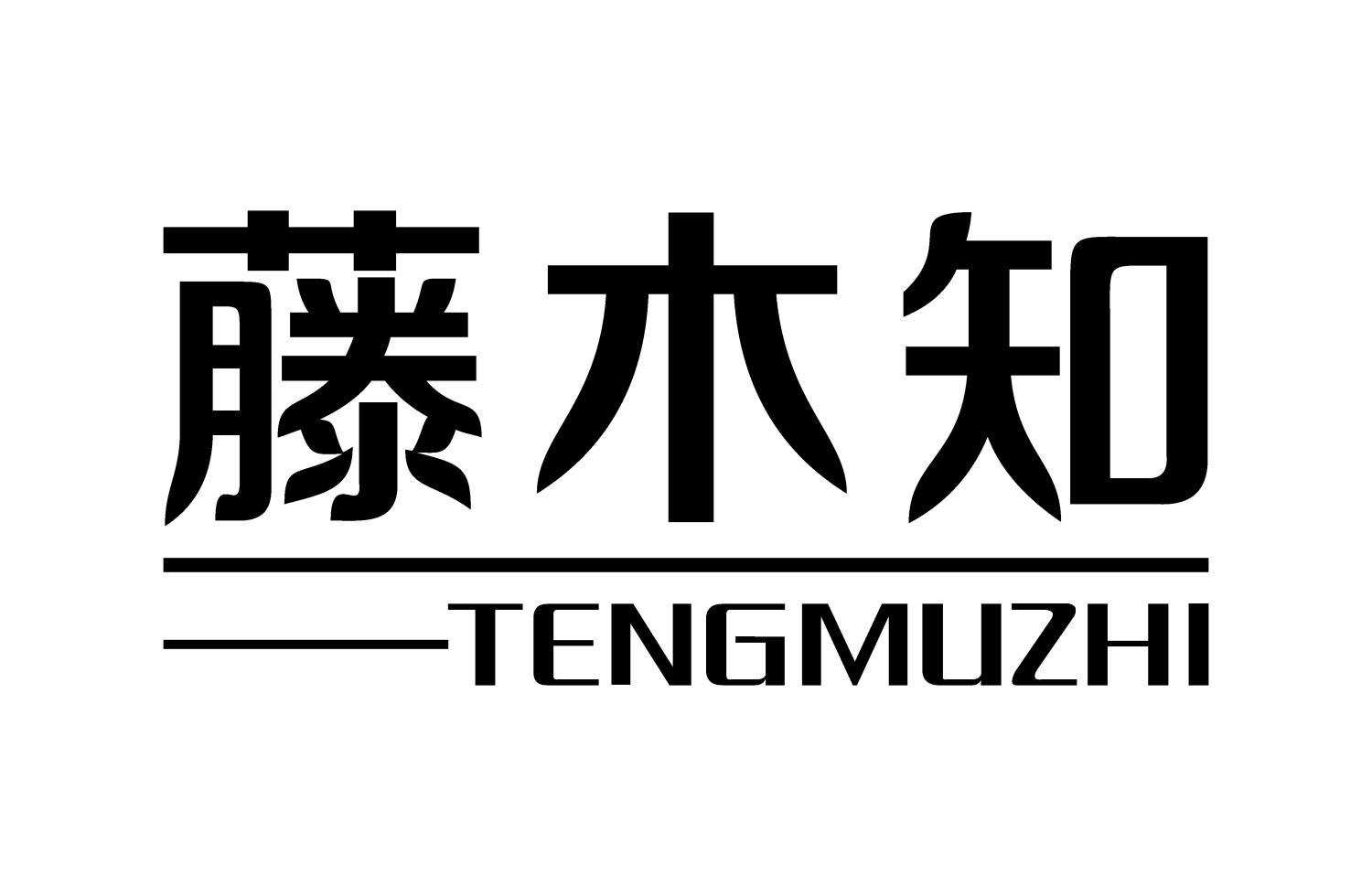 藤木知
