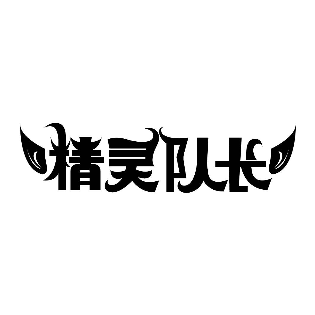 精灵队长 