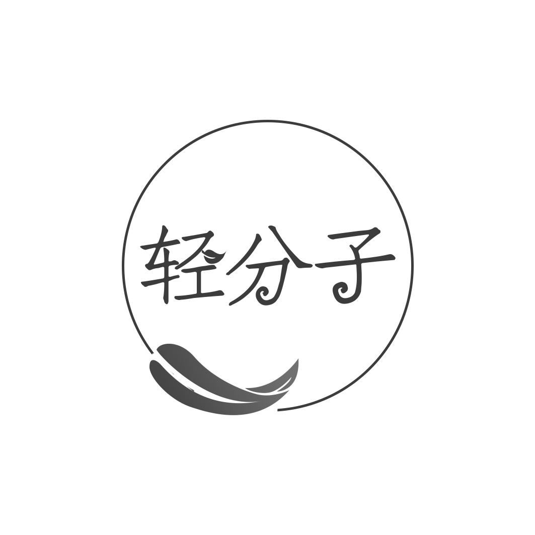 轻分子