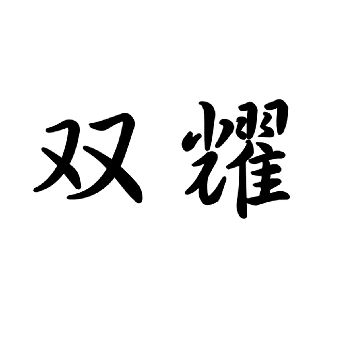 双耀