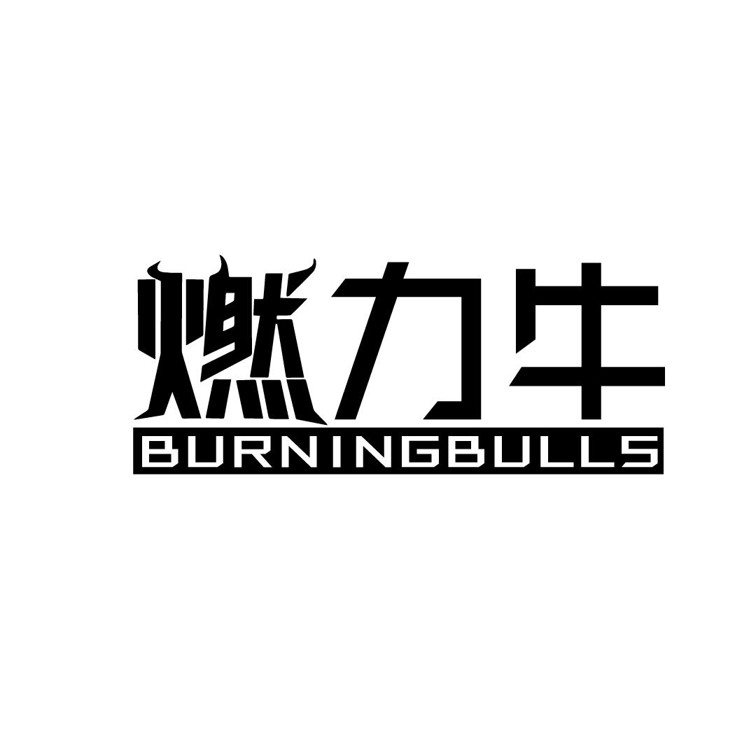 燃力牛 BURNINGBULLS