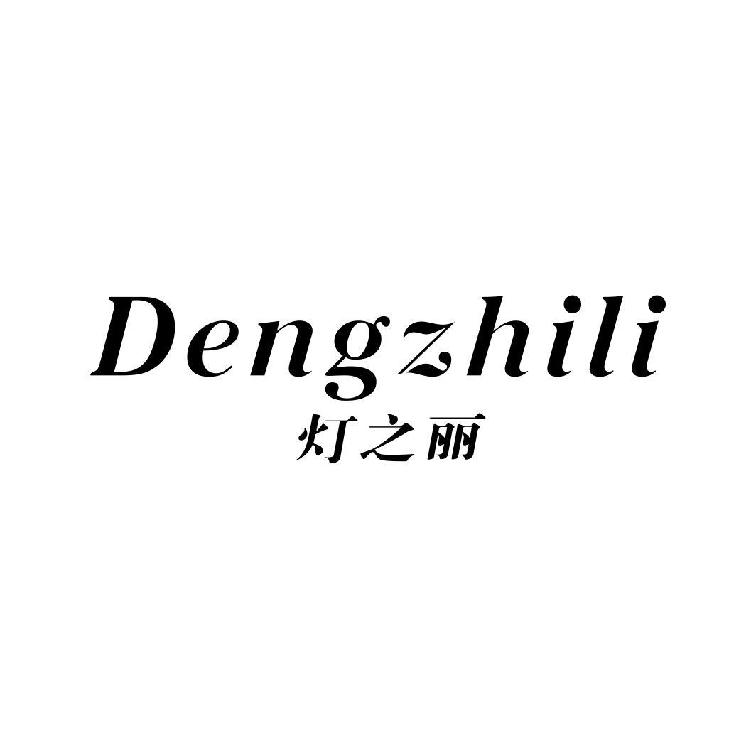 灯之丽DENGZHILI