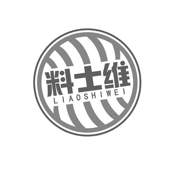 料士维LIAOSHIWEI