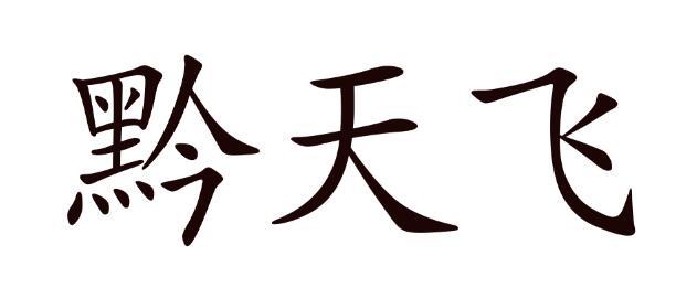 黔天飞