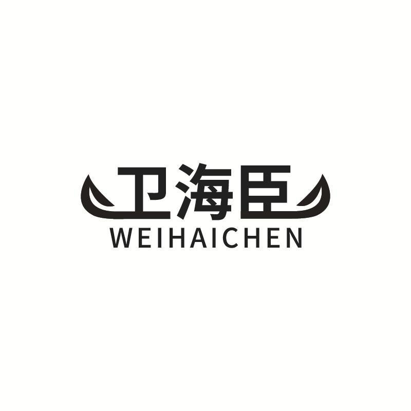 卫海臣