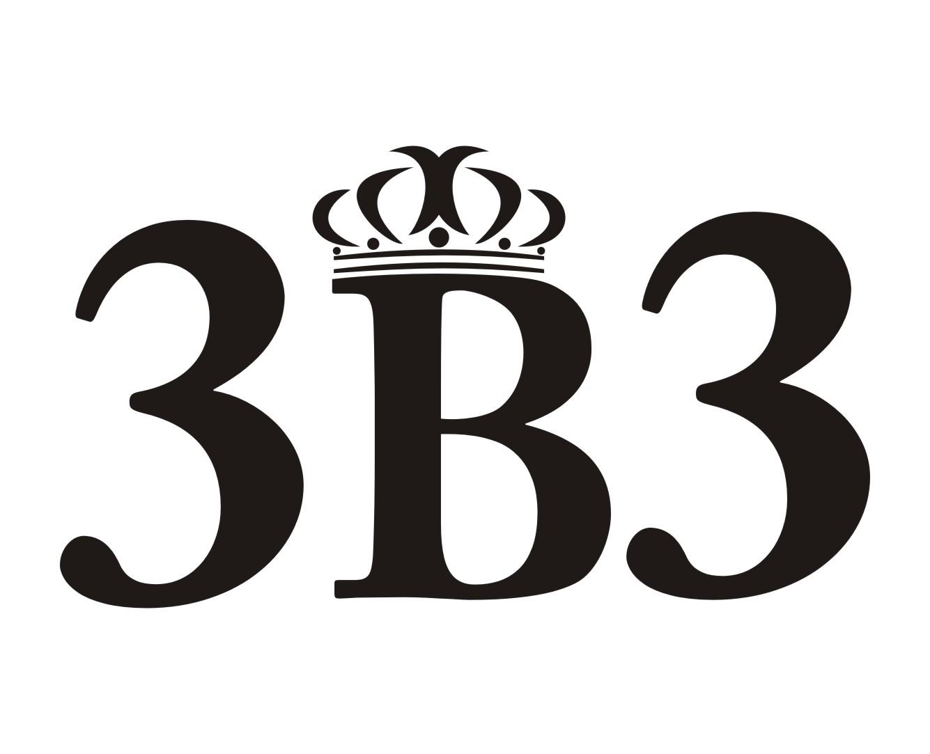 3B3