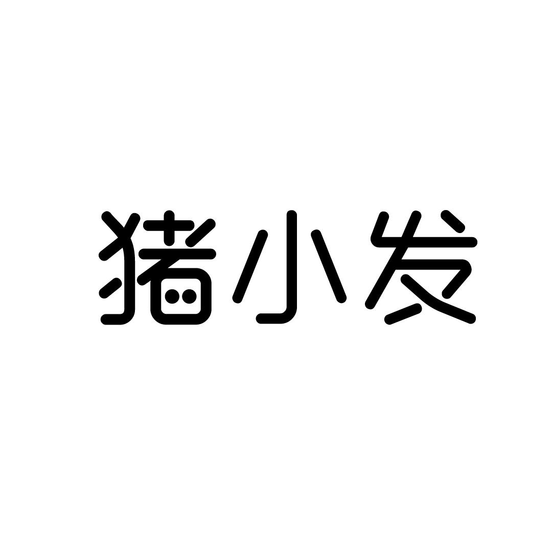 猪小发