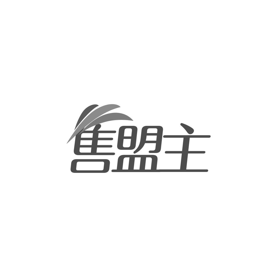 售盟主