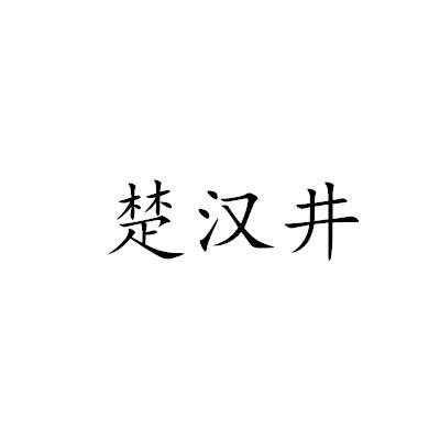楚汉井