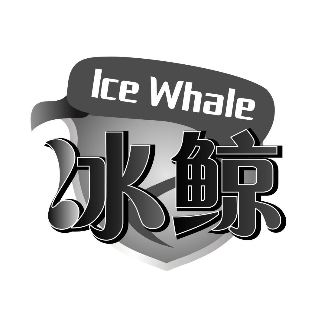 冰鲸Ice whale