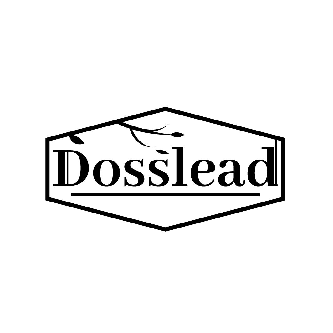 
DOSSLEAD