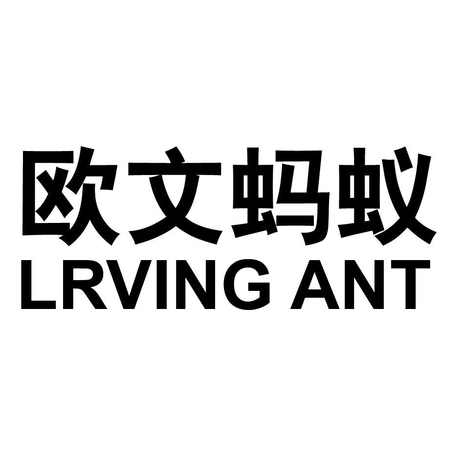 欧文蚂蚁 LRVUNG ANT