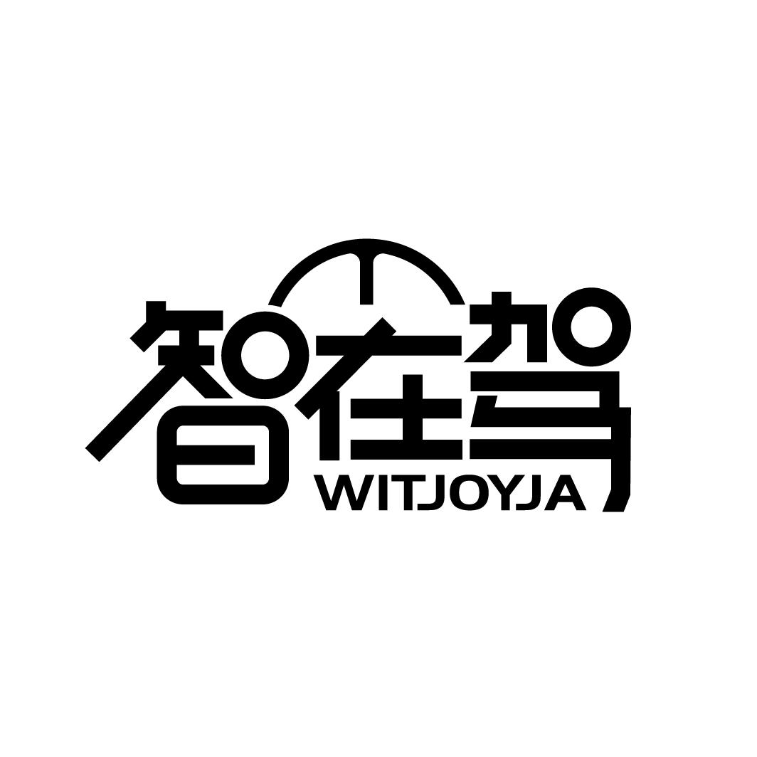 智在驾
WITJOYJA