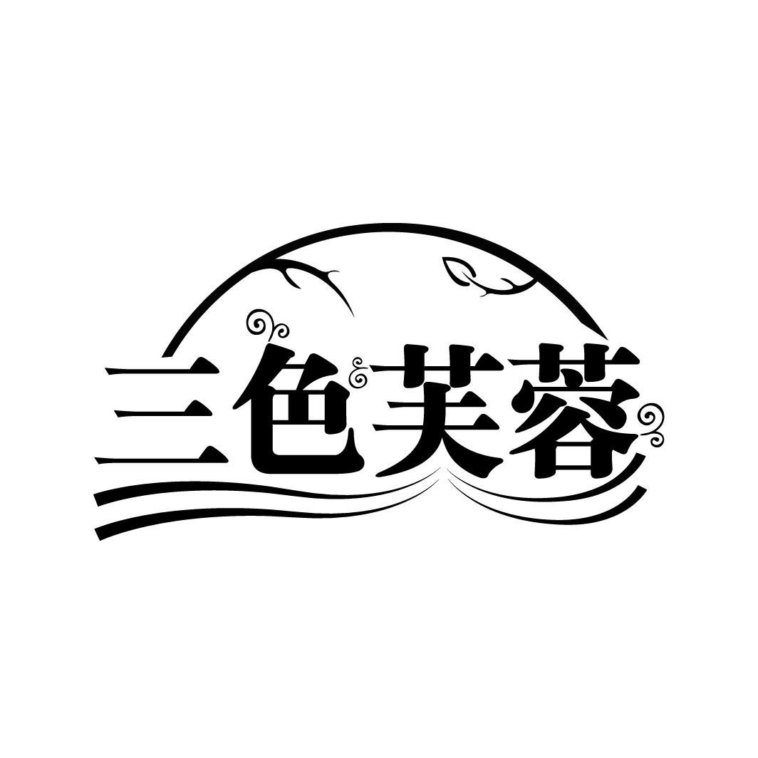 三色芙蓉
