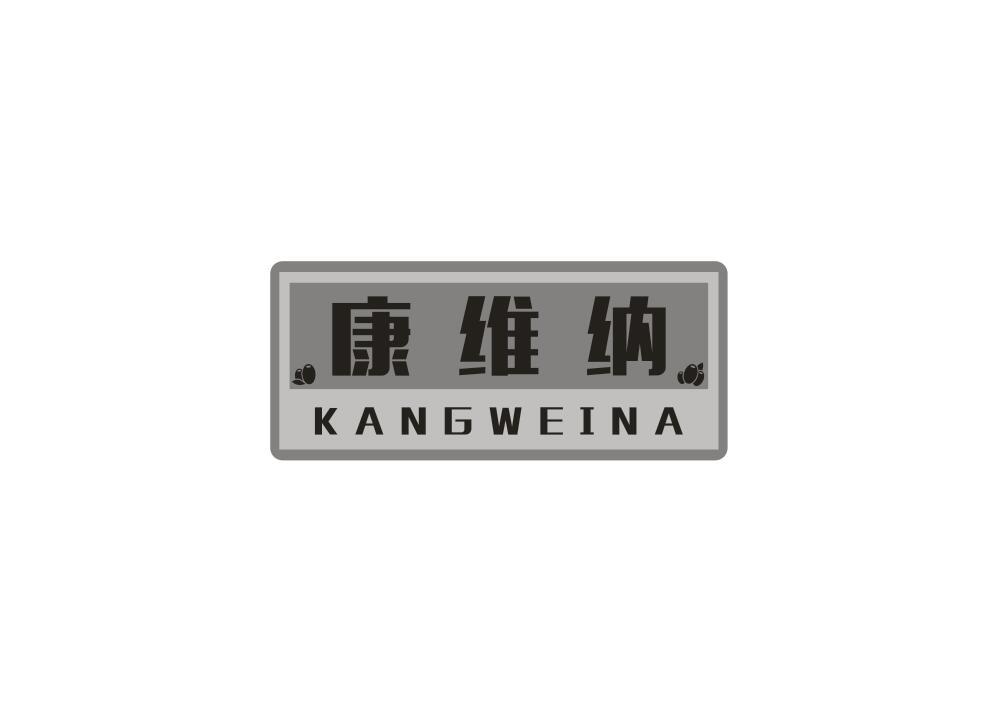 康维纳
