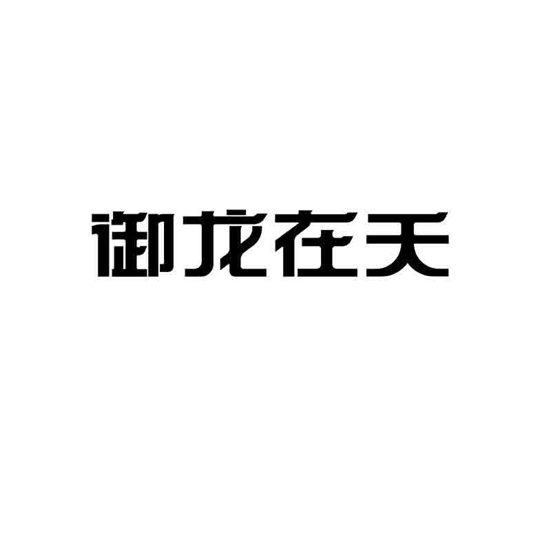  御龙在天