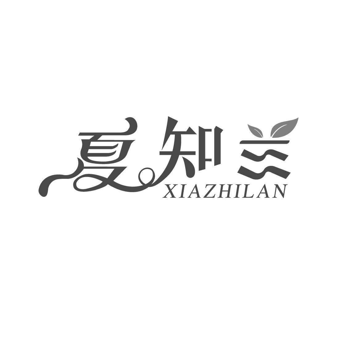 夏知兰