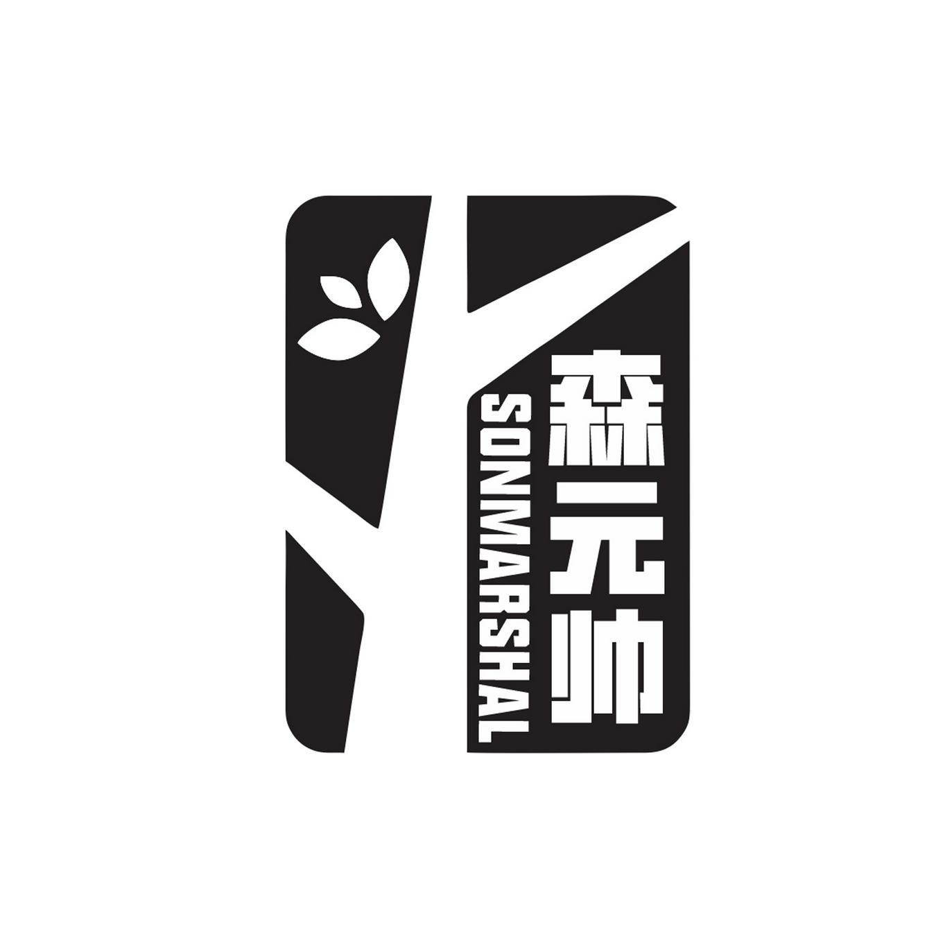 森元帅 
SONMARSHAL