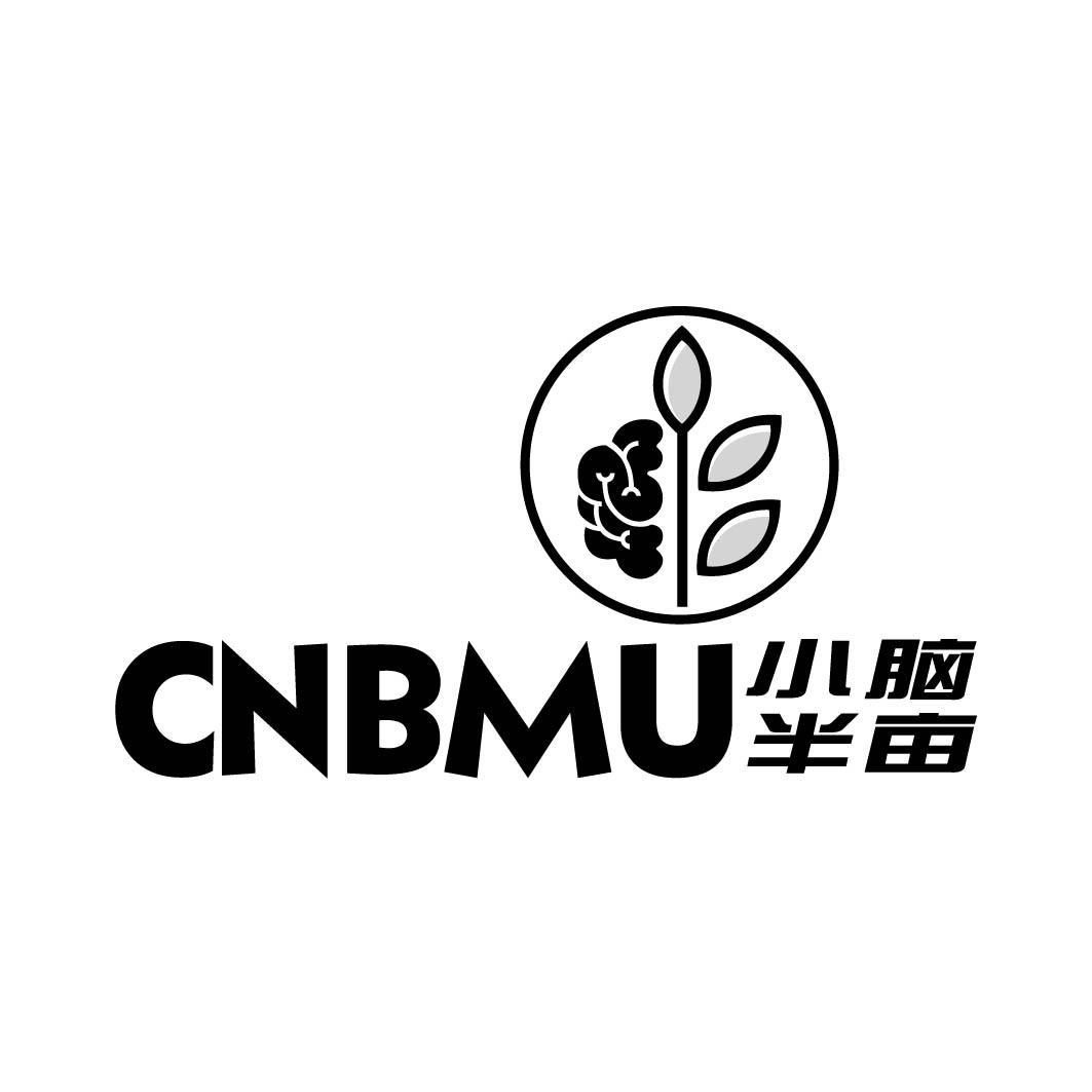 CNBMU 小脑半亩 （9/41同名）
