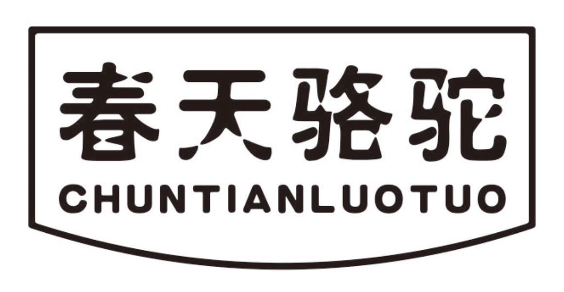 春天骆驼 CHUNTIANLUOTUO
