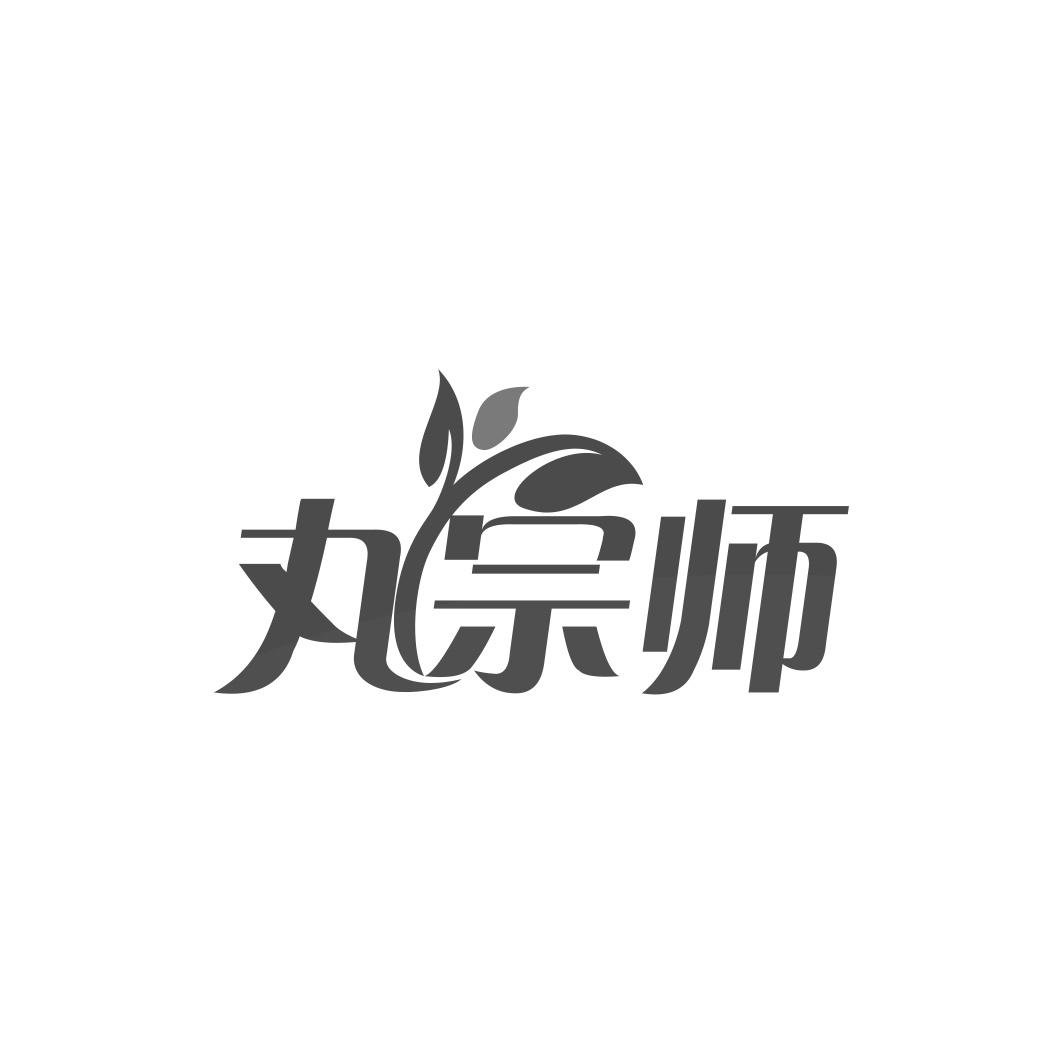丸宗师