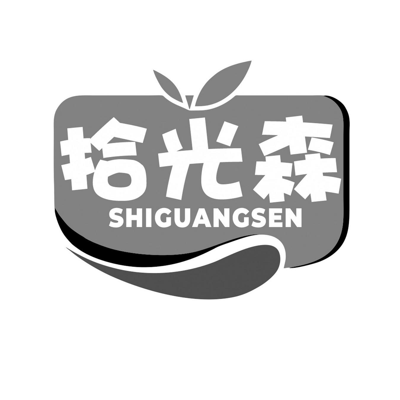  拾光森
SHIGUANGSEN