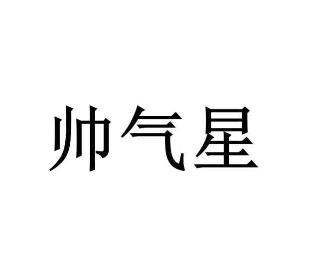 帅气星