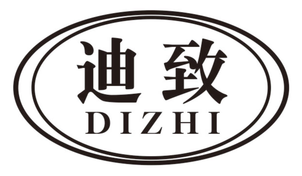 迪致 DIZHI