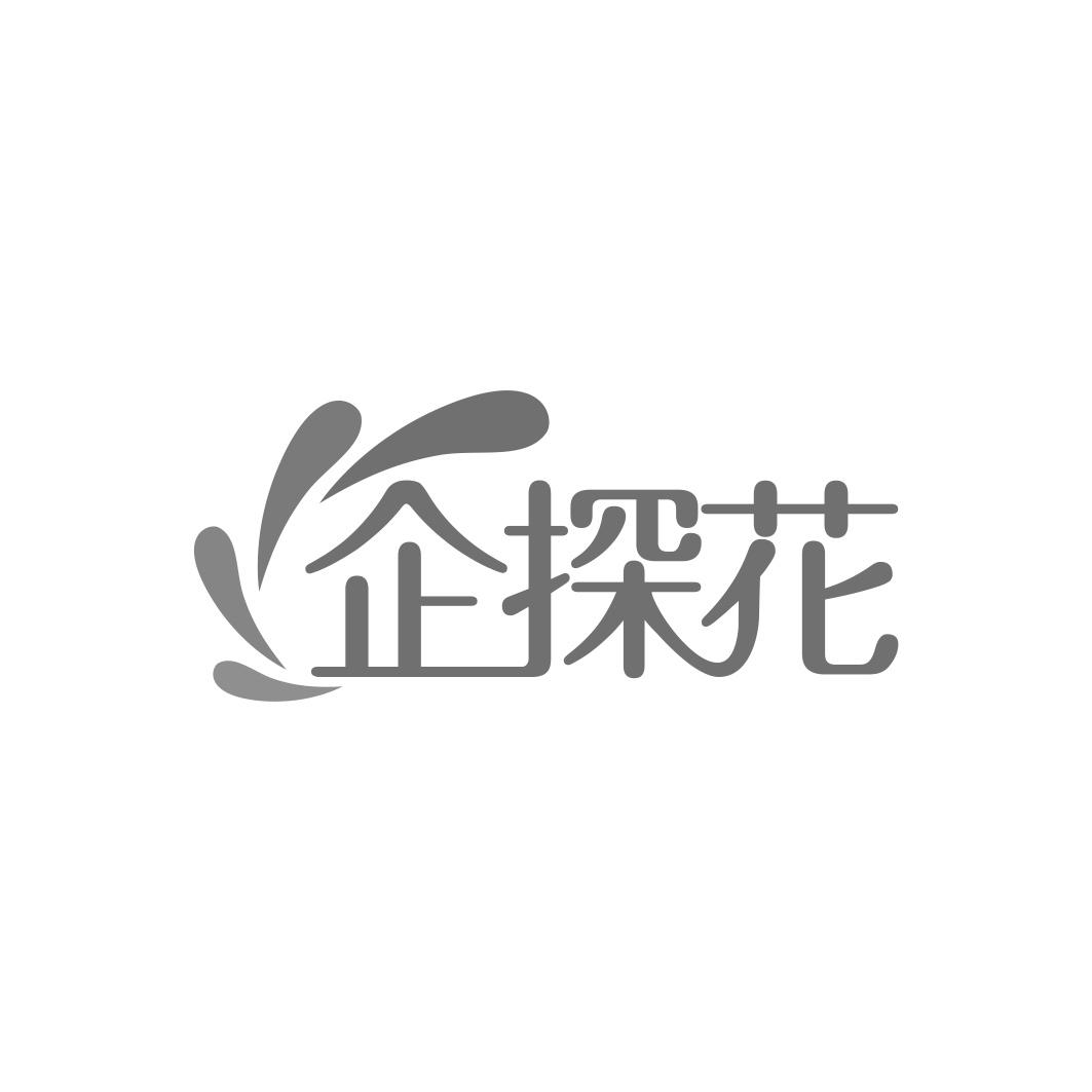 企探花