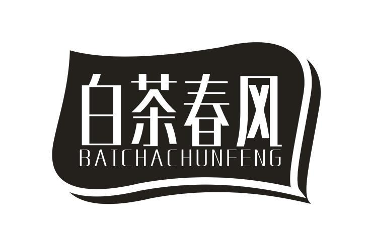 白茶春风