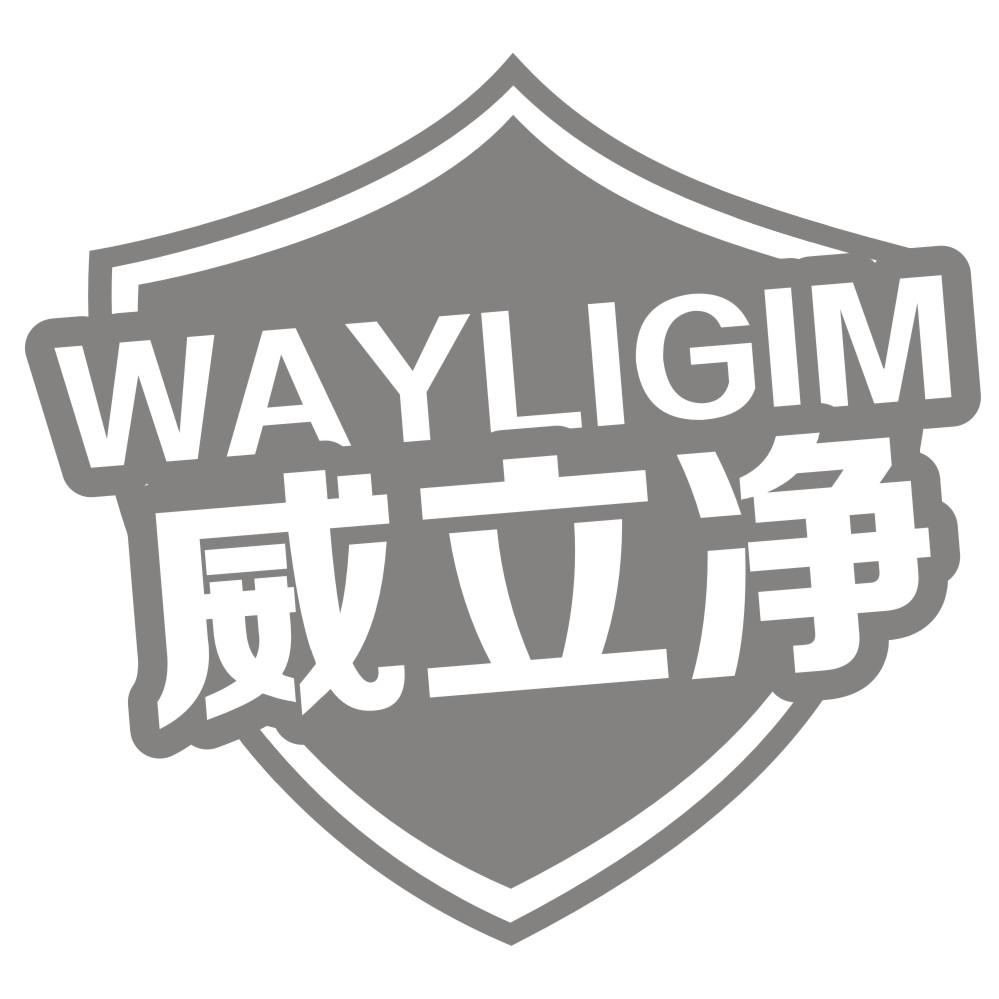 威立净 WAYLIGIM