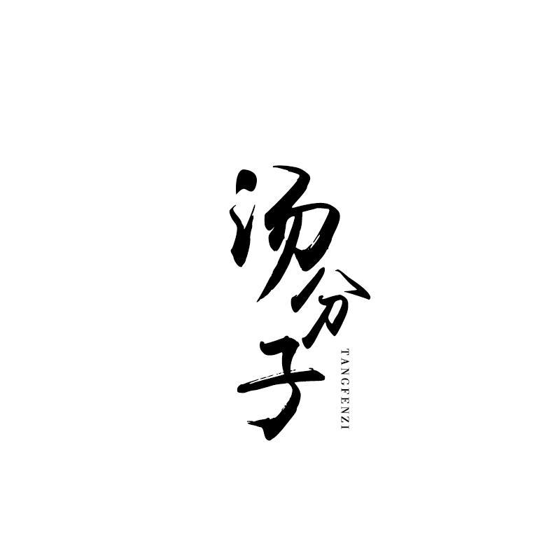 汤分子