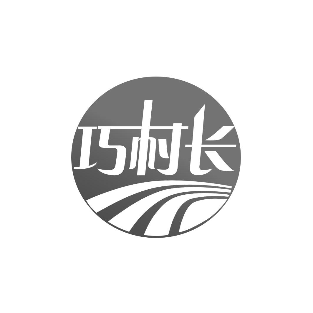 巧村长