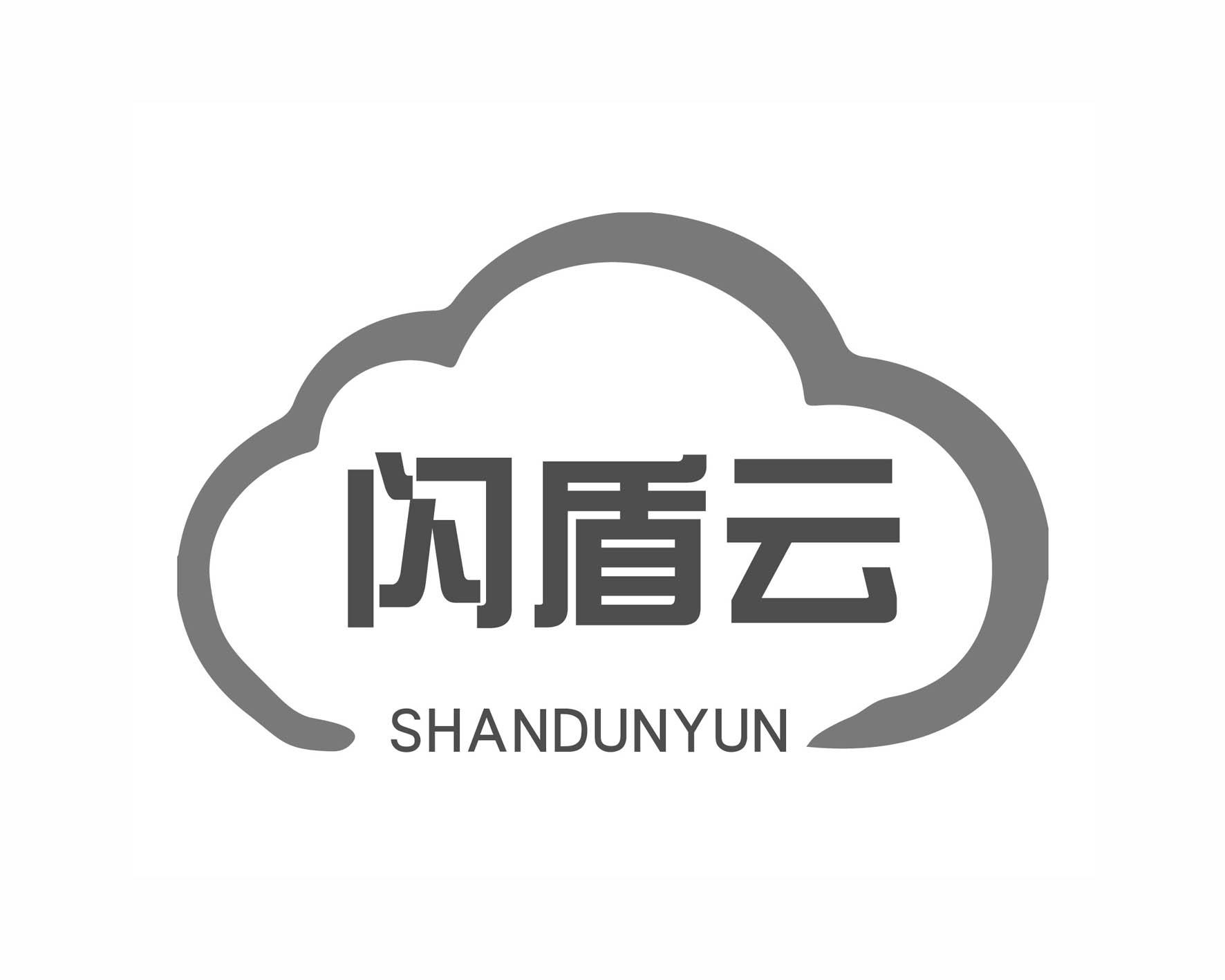 闪盾云
