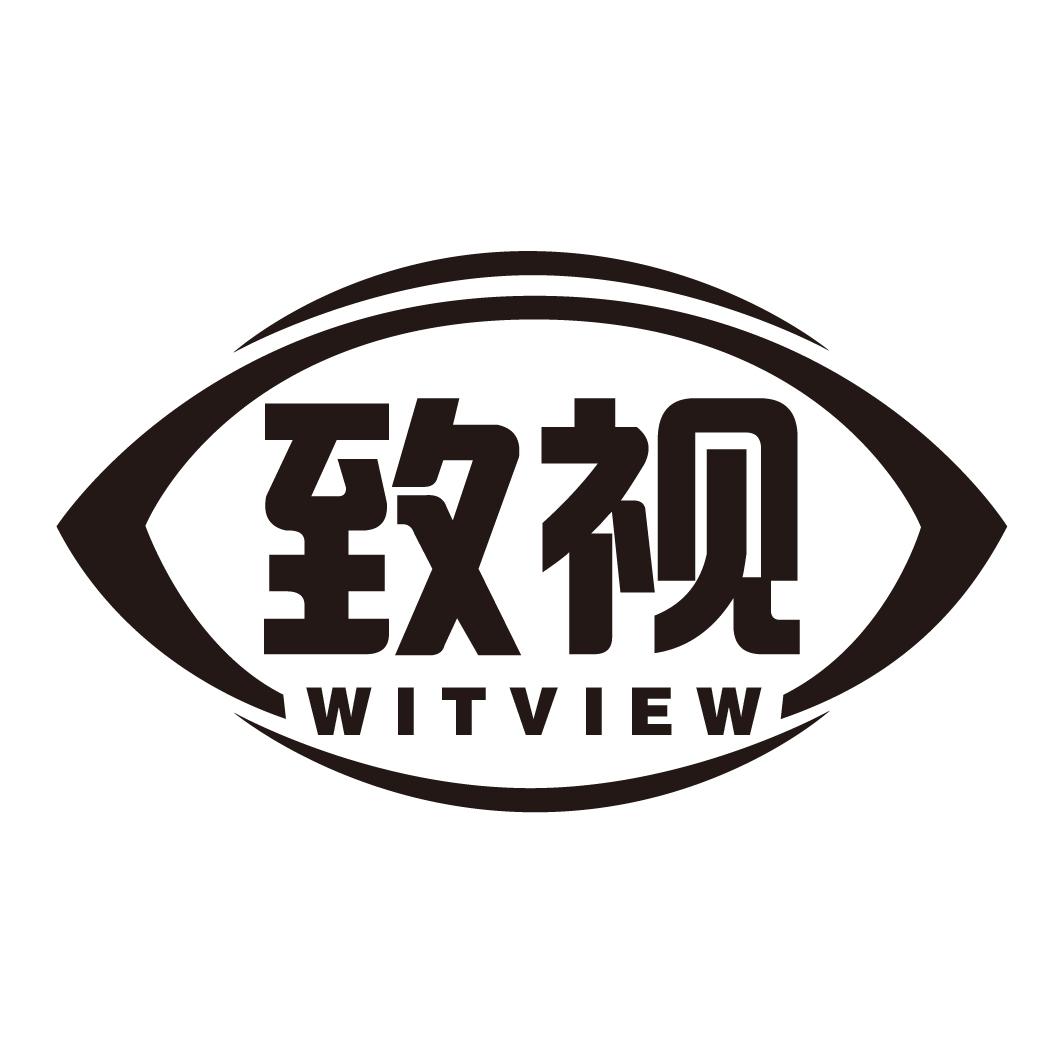 致视WITVIEW