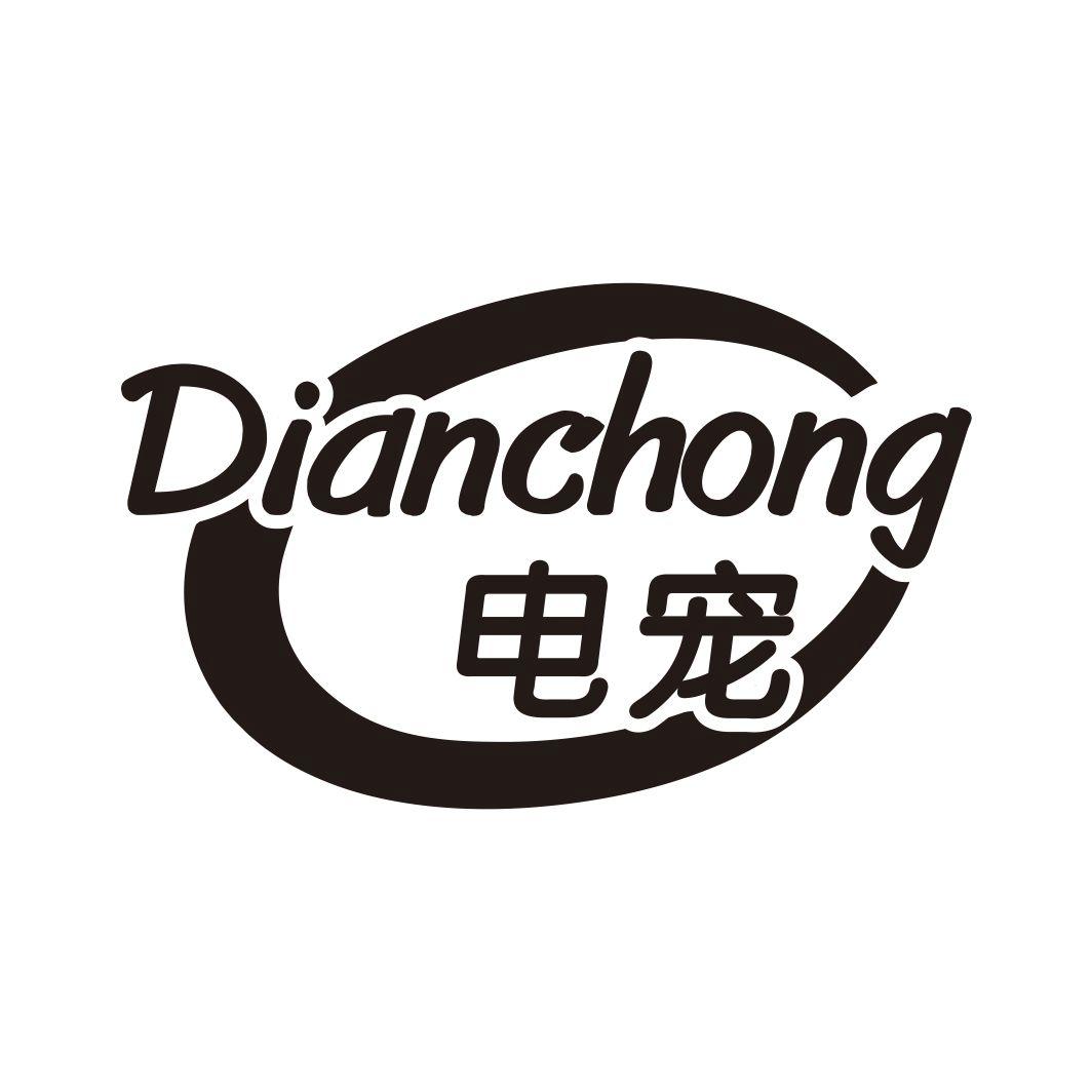 电宠DIANCHONG
10+11+12类同名