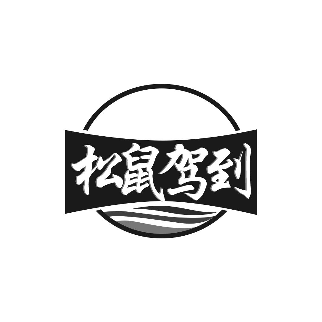 松鼠驾到