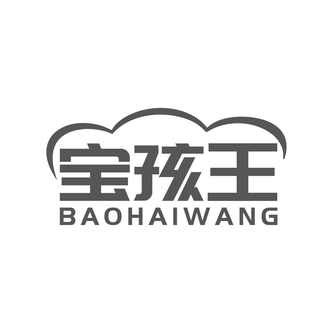 宝孩王