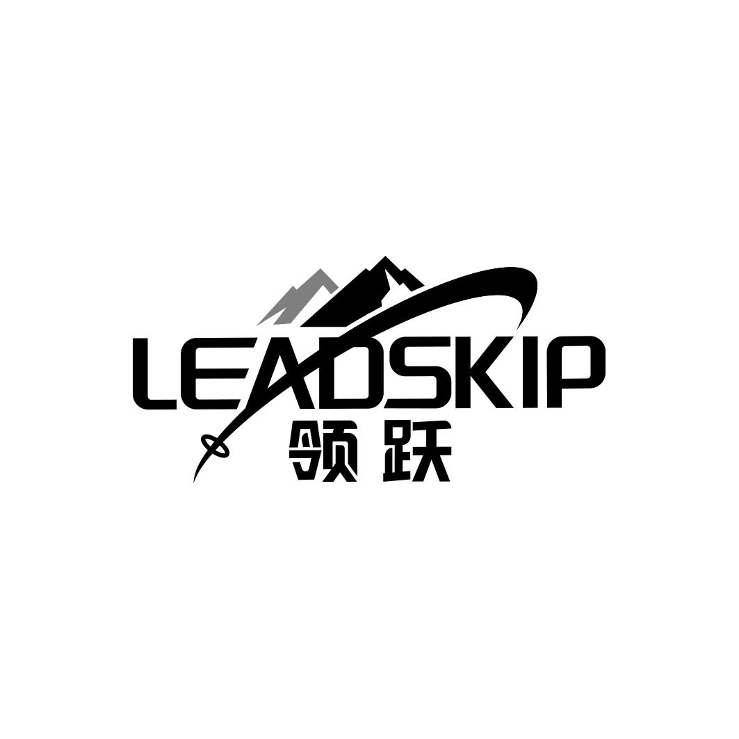 领跃 LEADSKIP