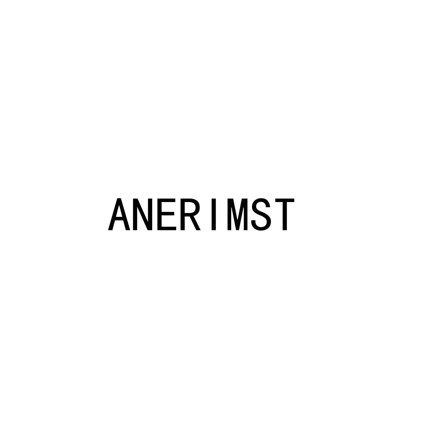 ANERIMST