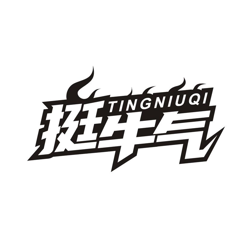 挺牛气