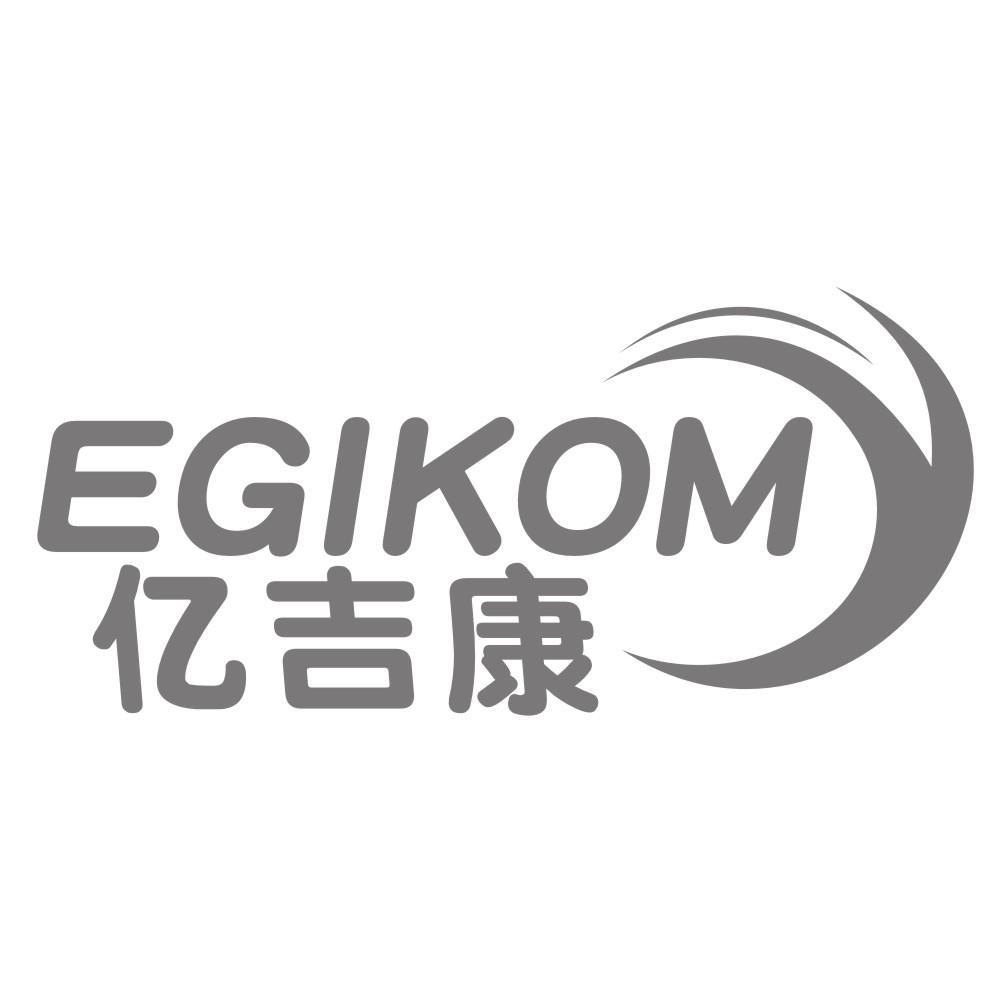 亿吉康EGIKOM