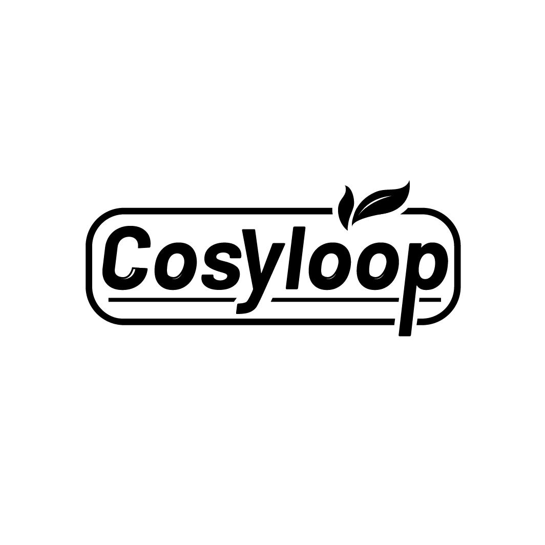 
COSYLOOP