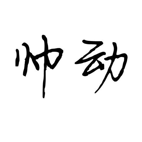 帅动