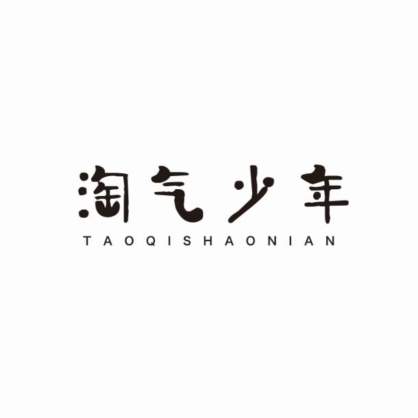 淘气少年