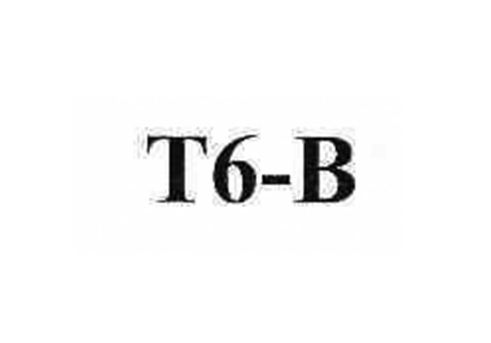 T6B