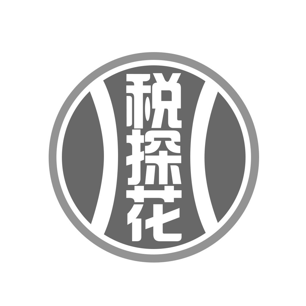 税探花