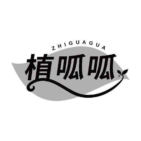 植呱呱
zhiguagua