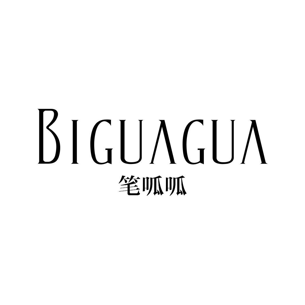笔呱呱BIGUAGUA