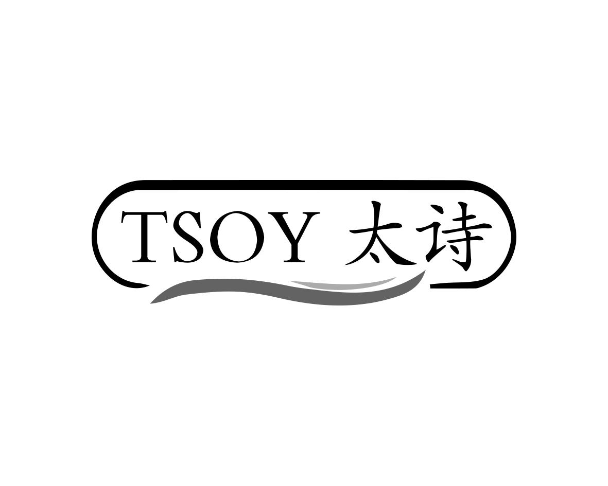 太诗TSOY
